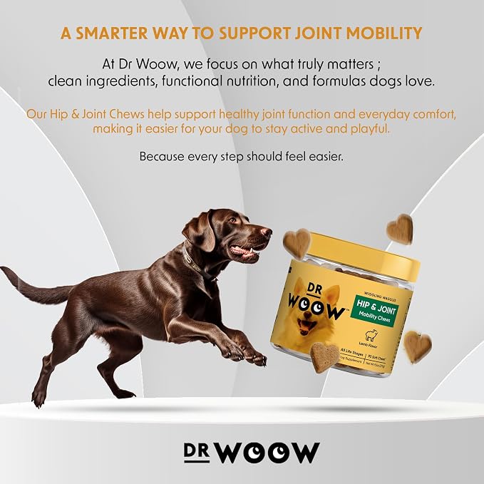 Hip & Joint Supplements for Dogs Soft Chews (90 CT) – Mobility Support + Joint Comfort & Flexibility – Glucosamine + MSM – Made in USA