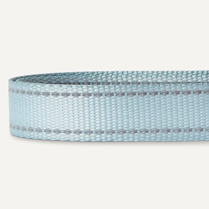 Amazon Basics Reflective & Adjustable Dog Collar, Featuring a Metal D-Ring and Quick-Release Buckle,Size M, Blue