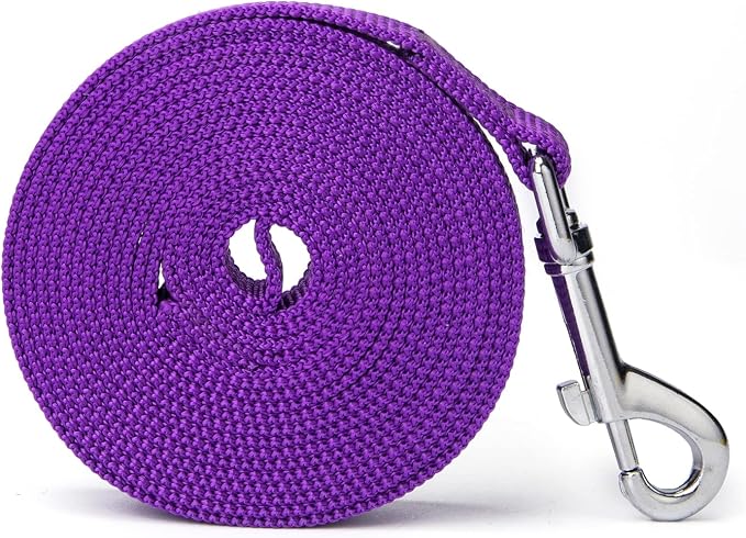 Strong Durable Nylon Dog Training Leash, 1 Inch Wide Traction Rope, 6 ft Long, for Small and Medium Dog (Purple, 6 Feet)