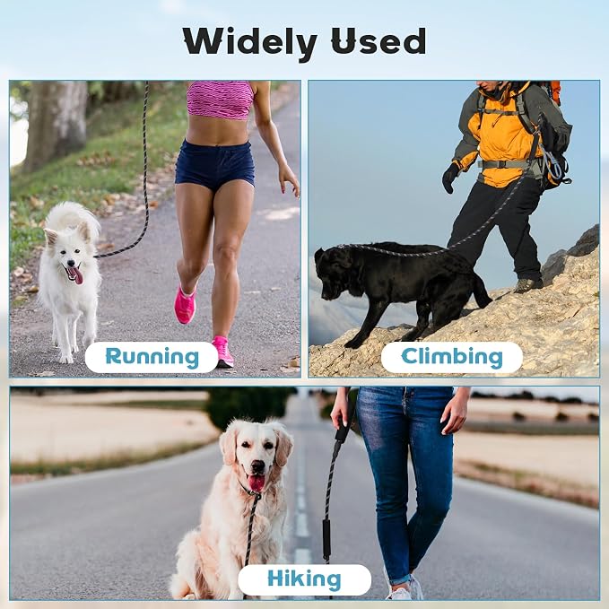 Amrules Dog Leash 6 FT with Comfortable Padded Handle, Training Loop Leash with Highly Reflective Threading for Medium Dogs, Black