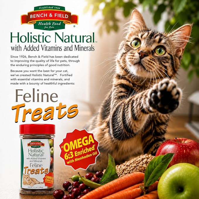 Bench & Field Holistic Natural Healthy Kitty Cat Treats | Crunchy Fish-Shaped Bites | Delicious Seafood Flavored Snack, 3-Ounce (Pack of 3 Bottles)