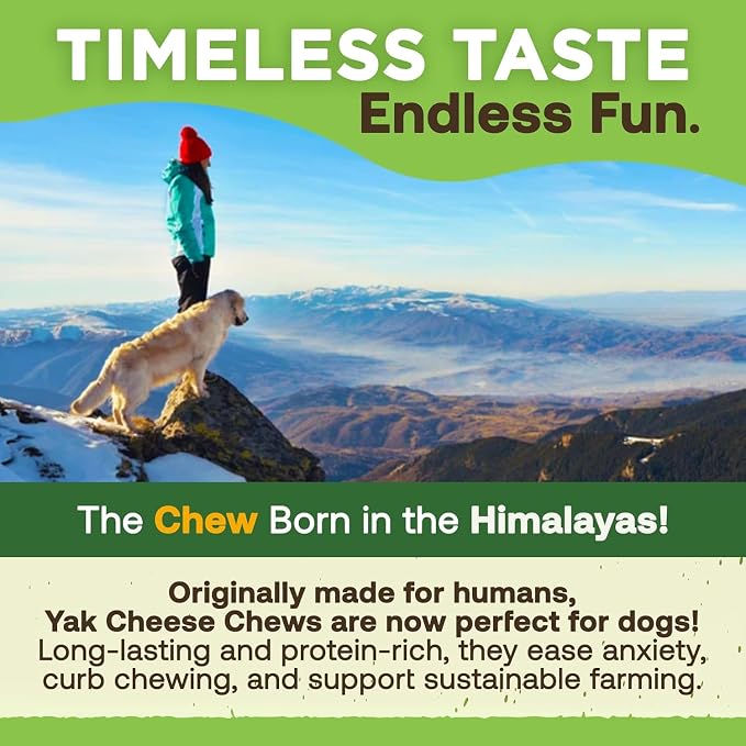 EcoKind Yak Cheese Himalayan Dog Chews, Yak Chews for Medium Dogs, Long Lasting Bone for Aggressive Chewers, 3 Ingredients, Natural High Protein Treats, No Additives, Lactose Free, Medium - 12 Chews