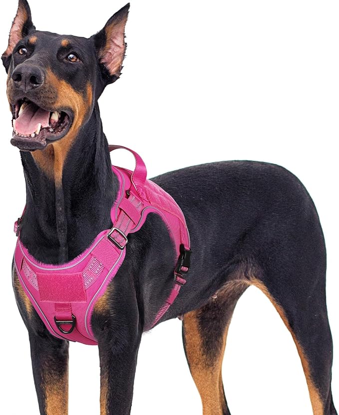 rabbitgoo Tactical Dog Harness for Large Dogs No Pull Adjustable Military Vest with Handle MOLLE Reflective Heavy Duty Dog Vest for Walking Training Hunting Outdoor Working Medium Size Dog Rose Red XL