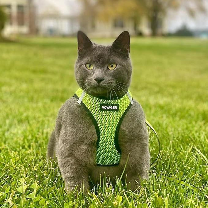 Best Pet Supplies - All Weather Mesh/Plush, Reflective, No Pull Harness for Small, Medium Dogs, Cats - Secure with Hook & Loop Fastener, Buckle, Double D-Rings - Lime Green 2-Tone, XL