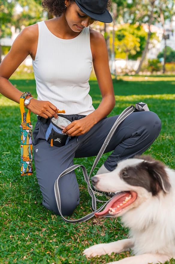 OllyDog, Goodie Treat Bag, Dog Treat Training Pouch | Magnetic Closure | 3 Ways to Wear | Hands-Free Waist Belt | Water-Resistant Recycled Vegan Fabric (Blue Heron)