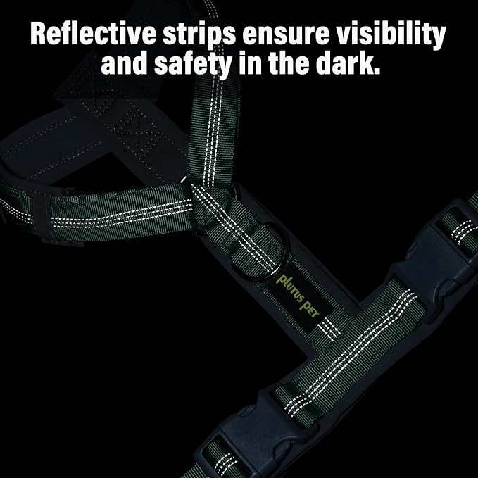 Plutus Pet No Pull Dog Harness, Adjustable Nylon Harness with Soft Padding, Reflective and Heavy Duty Dog Harness for Small, Medium, Large Dogs(Teal, XS)