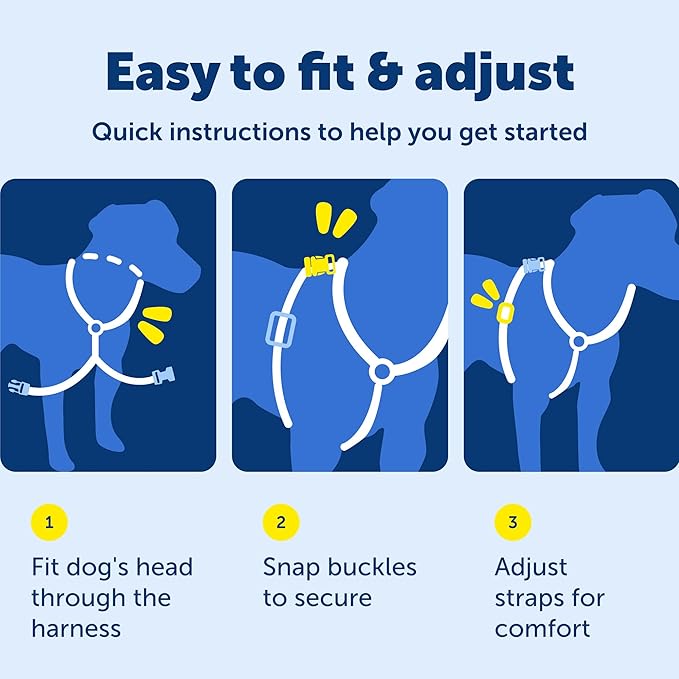 PetSafe 3 in 1 No-Pull Dog Harness for Small Dogs - Walk, Train or Travel - Helps Pets from Pulling on Walks - Seatbelt Loop Doubles as Quick Access Handle - Reflective- Small, Teal