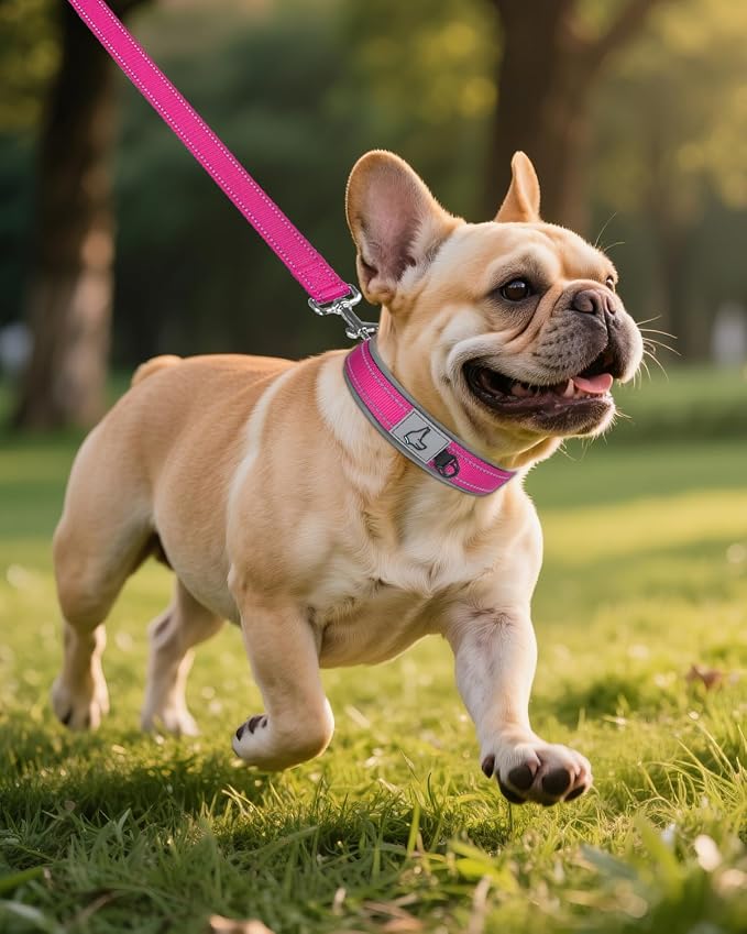 Joytale Dog Collar for Small Dogs, Neoprene Padded and Adjustable, Reflective Wide Heavy Duty Pet Collars with Durable Metal Belt Buckle for Walking, Hotpink, S