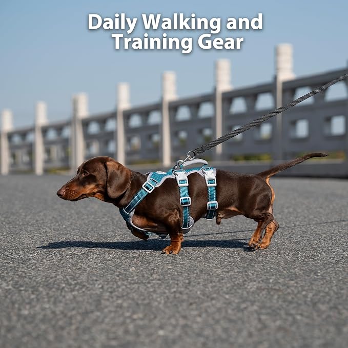 Huntboo Escape Proof Dog Harness, No Pull Reflective Harness with Lift Handle, Adjustable Pet Vest with Front and Back Leash Clips for Small Medium Large Dogs Walking Hiking Training (Teal,XL)