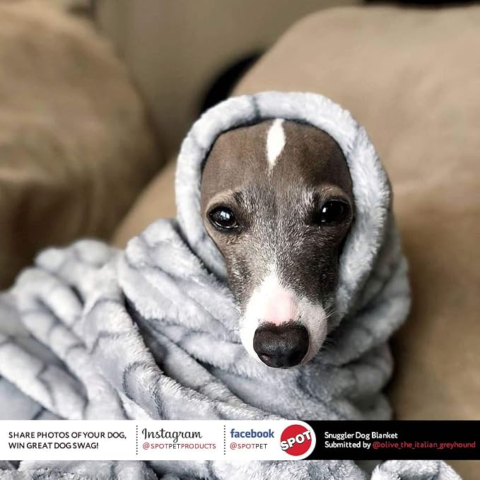 SPOT Snuggler Bones Blanket - Ultra Soft, Machine Washable Dog Blanket for Beds, Furniture Protection, Travel, and Crates - 40 x 60 inch, Grey Fleece Throw with Bone Print Design