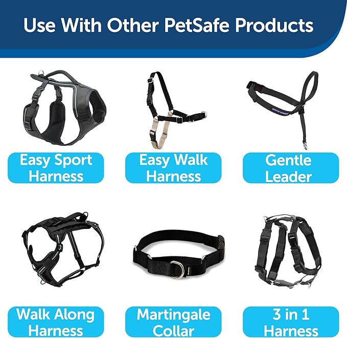 PetSafe Nylon Dog Leash Strong, Durable, Traditional Style Lead with Easy to Use Bolt Snap for Small, Medium and Large Dogs 1" x 6', Black
