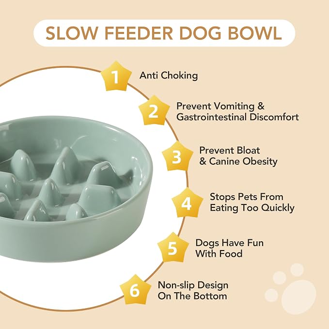 Havniva 7.3” Raised Slow Feeder Dog Bowls Set, 1.2 Cups Ceramic Slow Feeder Dog Bowl and 6.1” Dog Water Bowl with Elevated Wooden Stand Puzzle Dog Food Bowl for Small Dogs Anti-Gulping & Anti-Choking