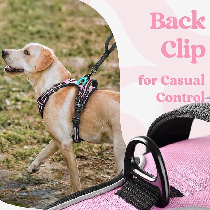 rabbitgoo Dog Harness Small Sized, No Pull Easy On & Off with 3 Buckles Pet Harness, Adjustable Soft Walking Vest with 2 Clips and Handle, Reflective for Small Dogs, Pink, S