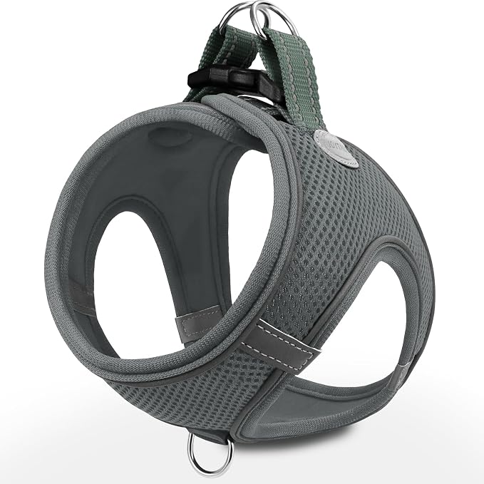 Joytale Small Dog Harness, Breathable Mesh Step-in Vest, Reflective Soft Padded Harnesses for Small and Medium Dogs, Gray, M