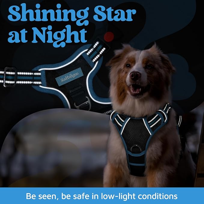rabbitgoo Dog Harness Medium Sized, 3 Buckles Easy On & Off No Pull Pet Vest, Soft Padded Walking Pet Harness with Control Handle, Adjustable and Reflective, Black & Sky Blue, M