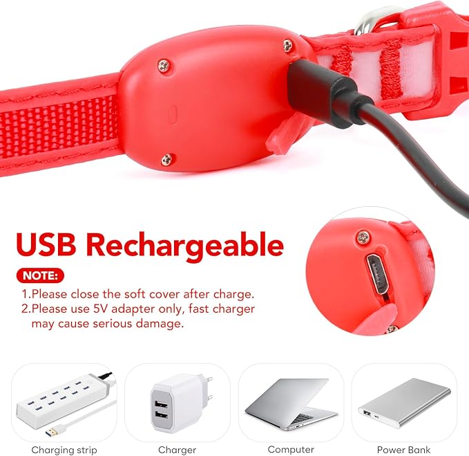 Light up Collar for Small Dog,Vizpet XS Adjustable Size Nylon Collar USB Rechargeable Bright Safety Pet Collar for Cats Small Dogs(Red, X-Small[ 8.66-11.9 inch/22cm-30cm])