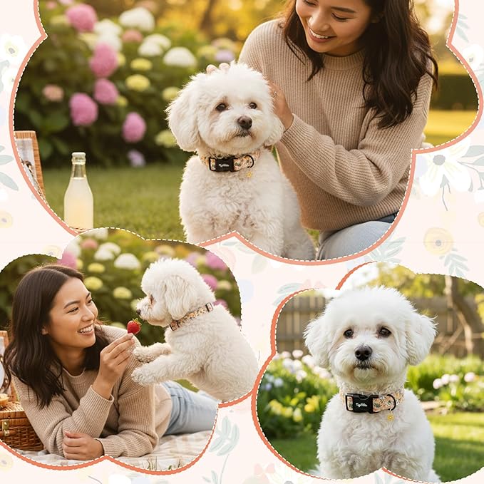 Dog Collar with Floral Patterns, Spring Summer Collection Orange Dog Collar with Exquisite Pendant, Durable Adjustable Collars for Gifts & Daily Use-S