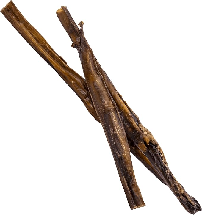 Nature's Logic All-Natural Beef Pizzle Chew Stick - Promotes Dental Hygiene - Recreational Dog Treat for Large/Medium Breeds - Natural Bully Stick - Beef Pizzle Treat