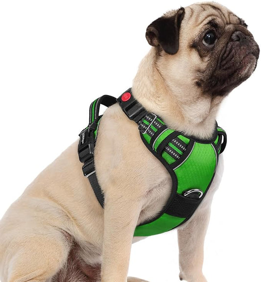 rabbitgoo Dog Harness Small Sized, 3 Buckles Easy On & Off No Pull Pet Vest, Soft Padded Walking Pet Harness with Control Handle, Adjustable and Reflective, Green, S