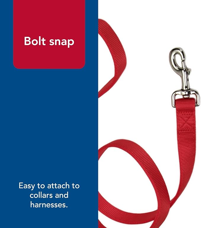 Coastal Pet Double-Ply Dog Leash - Bolt Snap Attachment to Collars and Harnesses - Nylon Dog Walking Leash for Small, Medium and Large Dogs - Red - 1" x 4'