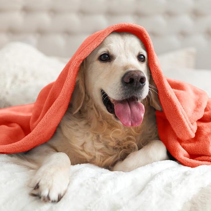 BEDELITE Fleece Blanket Coral Red Throw Blankets for Couch & Bed, Luxury Plush Cozy Fuzzy Blanket 50x60 inches, Super Soft Warm Lightweight Throw Blanket for Travel Camping