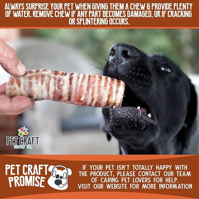 Pet Craft Supply Large 6" Buffalo Trachea Bones Dog Chews Treats 6 Pack for Aggressive Chewers Long Lasting Rawhide Free Premium Slow Roasted for Puppies Small Medium Large Dogs
