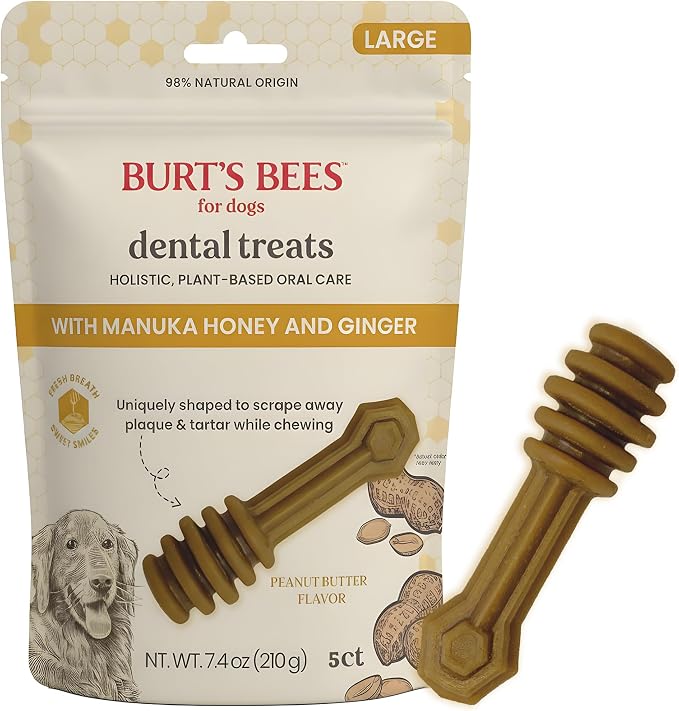 BURT'S BEES FOR PETS Dental Treats for Dogs with Manuka Honey & Ginger, 98% Natural Origin, Holistic Oral Care, Freshens Breath, Peanut Butter Flavor, Medium/Large Size, 5 ct, 7.0 Oz