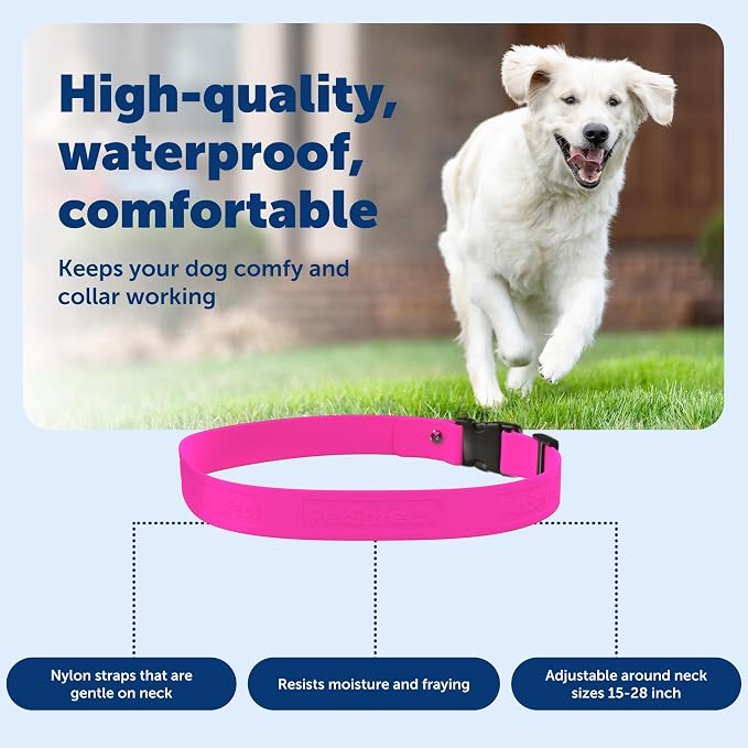 PetSafe Replacement Strap for Guardian GPS + Tracking Dog Fence Collar, Made with Soft-Touch Nylon for Enhanced Comfort and Long-Lasting Wear - Water-Wicking, Waterproof Material, Pink