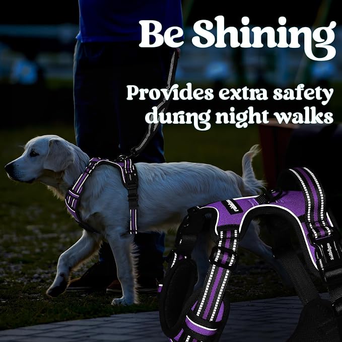 rabbitgoo Dog Harness for Large, No Pull Easy On & Off with 3 Buckles Pet Harness, Adjustable Soft Walking Vest with 2 Clips and Handle, Reflective for Large Dogs, Purple, L