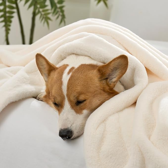 COZY KISS Waterproof Pet Blanket, Ultra Soft Luxury Faux Fur Throw Blanket for Couch, Cozy Warm Plush Blanket for Sofa Bedroom Living Room, Liquid Pee Proof for Large Dog or Cat, 30x40 inch, Cream