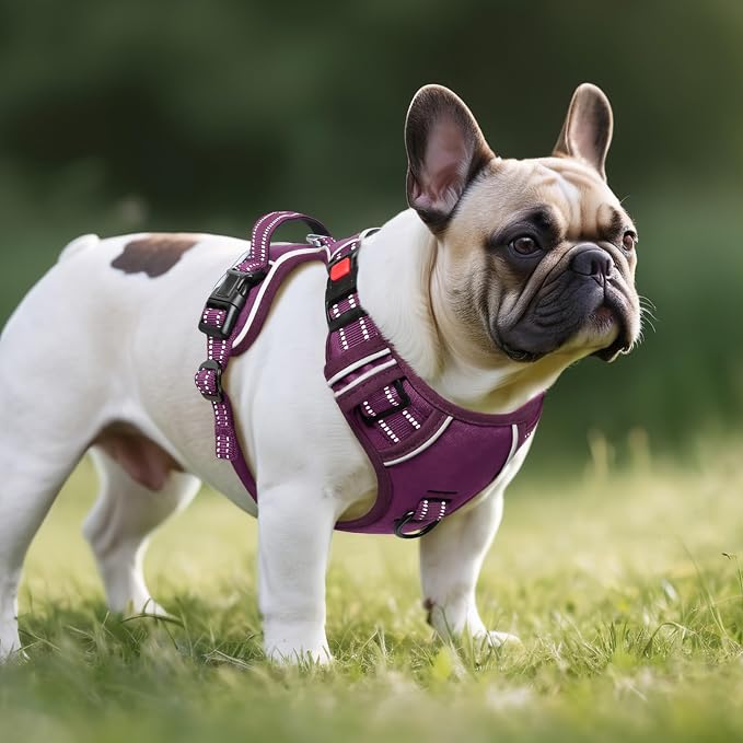 Timos Dog Harness Small Sized, No Pull Pet Harness with Neck Lockable Snap, No Choke Front Clip Reflective Vest, Adjustable Metal Rings 3 Buckles, Easy Control Handle for Small Dogs Grape Purple S