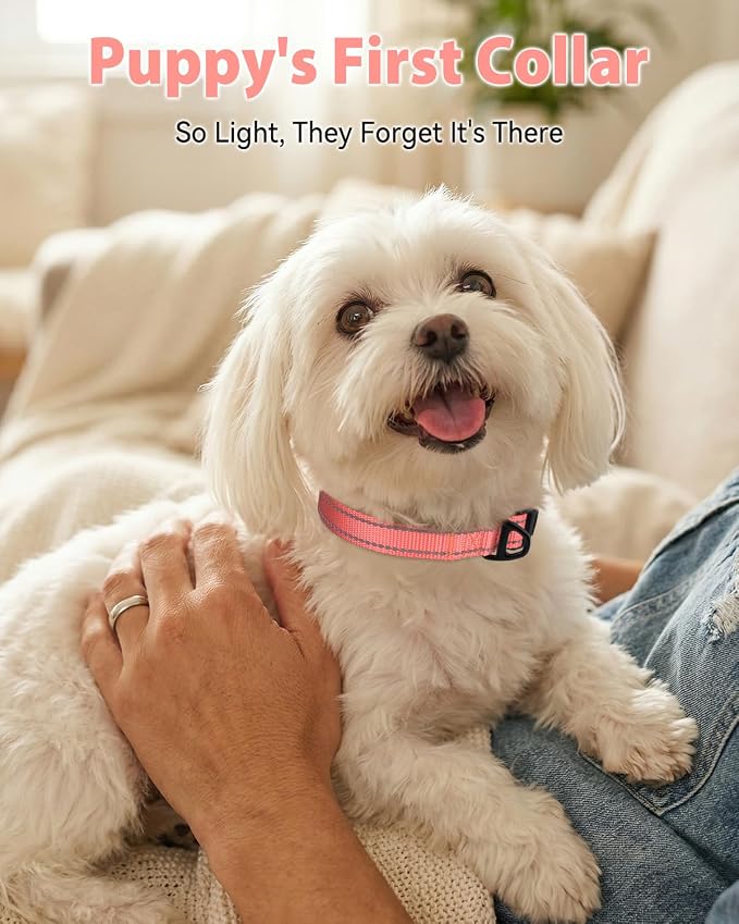 Joytale Dog Collars for Small Dogs, Feather-Light Double-Sided Reflective Nylon Collar for Night Safety, Adjustable Quick-Release for Growing Puppies, Pink, S (5/8" Width)