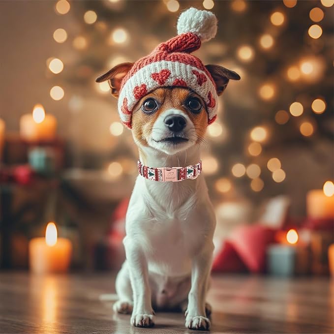 Christmas Dog Collar for Puppy Small Dogs - Fair Isle Style Christmas Collars for Dogs, Cute Reindeer Snowflake Winter Heavy-Duty Adjustable Dog Collars with Metal Buckle XS