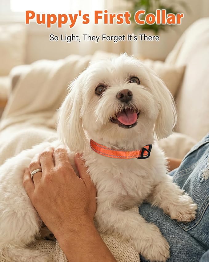 Joytale Dog Collars for Small Dogs, Feather-Light Double-Sided Reflective Nylon Collar for Night Safety, Adjustable Quick-Release for Growing Puppies, Orange, S (5/8" Width)
