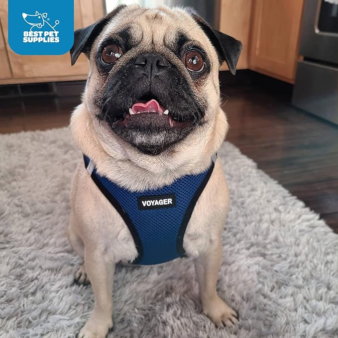 Best Pet Supplies - All Weather Mesh / Plush, Reflective, No Pull Harness for Small, Medium Dogs, Cats - Secure with Hook & Loop Fastener, Buckle, Double D-Rings - Blue/Black Trim, L