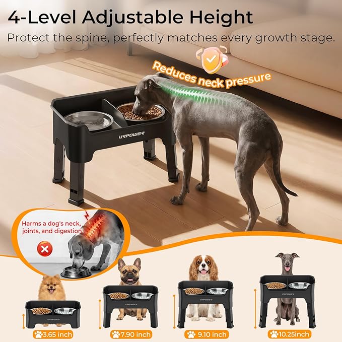 URPOWER Mess Proof Elevated Dog Bowls, High Wall Splash Guard Design, 4 Height Adjustable Raised Bowl Stand, 2 Stainless Steel Bowls, Non-Slip Food Water Set for Small Dogs