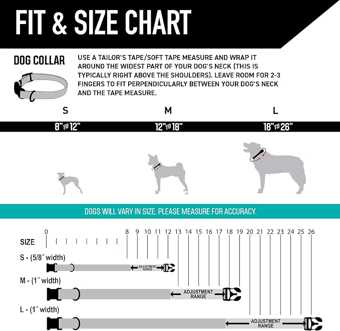 Wolfgang Heavy Duty, Adjustable Dog Collar with Quick Release Nylon Buckle for Walking & Training, LazyDaisy Print, Large