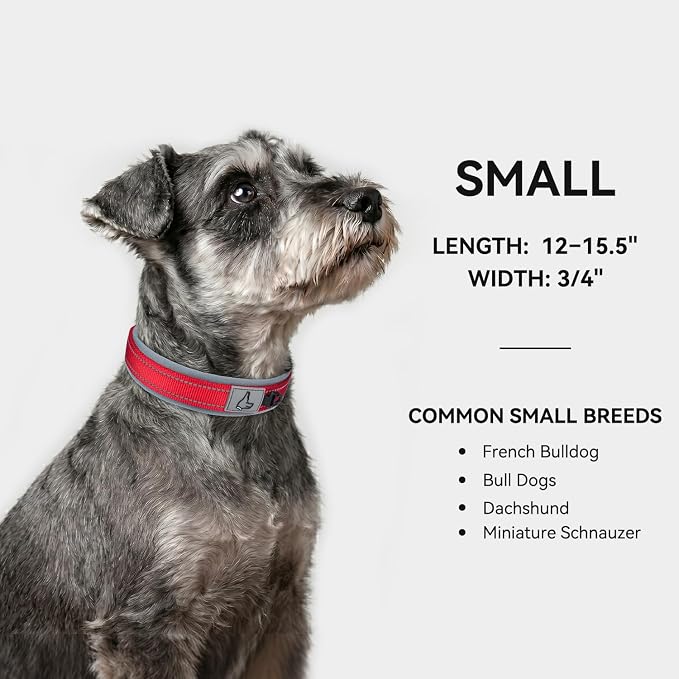 Joytale Dog Collar for Small Dogs, Neoprene Padded and Adjustable, Reflective Wide Heavy Duty Pet Collars with Durable Metal Belt Buckle for Walking, Red, S