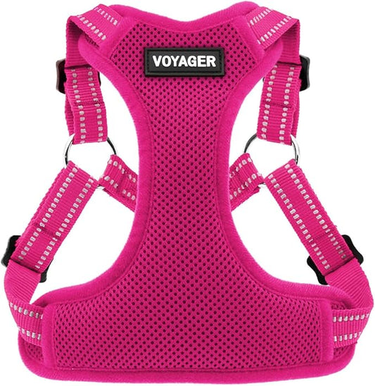 Best Pet Supplies Voyager Adjustable Step-In Flex Breathable Mesh Dog Harness for Small Medium Large Dogs (Fuchsia), XL
