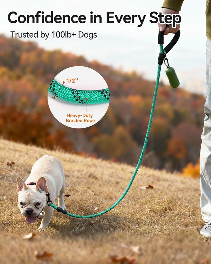 Joytale Dog Leash for Small Dogs, Heavy Duty Nylon Leashes with Comfortable Padded Handle and Highly Reflective Threads, Ideal for Walking and Training, Teal, 5'×3/8''
