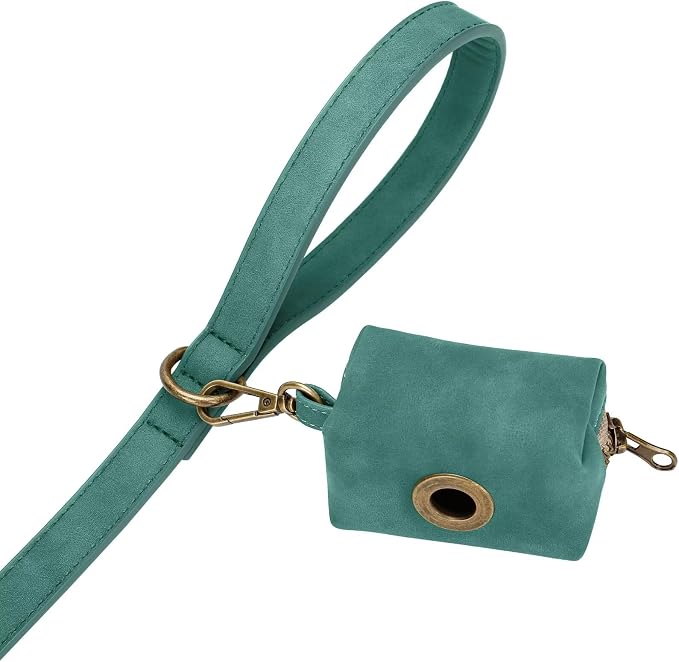 Didog Stylish PU Leather Dog Leash for Large Dogs, Easy to Clean 5ft Dog Leashes for Medium Dogs, Fashionable and Elegant for Walking, Running and Training,Green, M