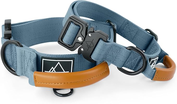 Made to ROAM Premium Explorer Control Collar - Adjustable Heavy Duty Nylon Dog Collar with Quick-Release Metal Buckle and Handle (California Horizon, Control Size 5)