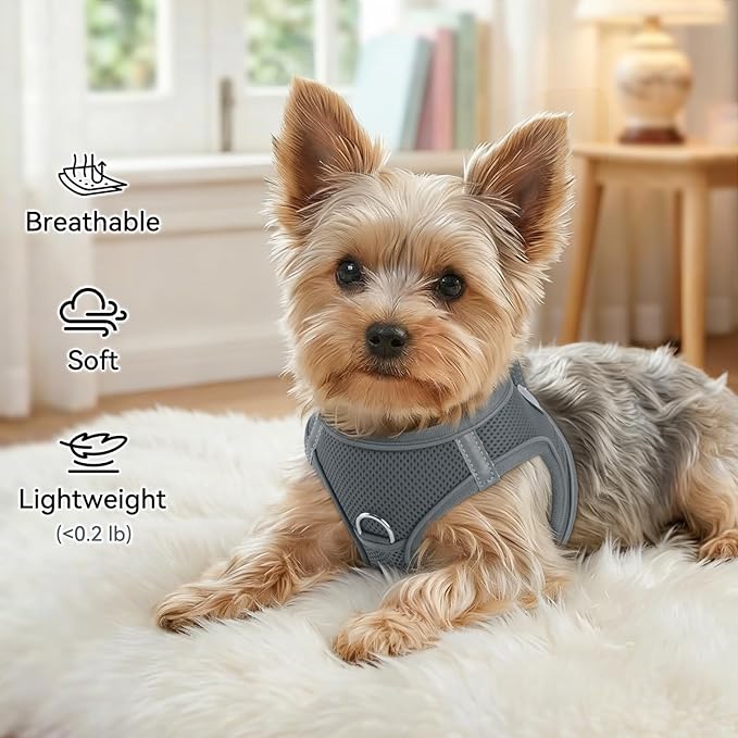 Joytale Small Dog Harness, Breathable Mesh Step-in Vest, Reflective Soft Padded Harnesses for Medium Dogs, Gray, XL