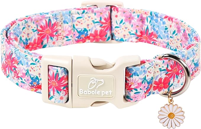 Floral Dog Collar Cute Spring/Summer Dog Collars for Puppy Small Dogs - Lightweight Adjustable Pastel Wildflower Male Female Dogs Everyday Collar with Safety Buckle XS