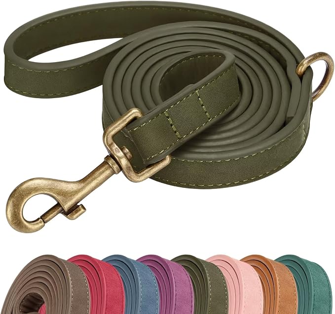 Didog Stylish PU Leather Dog Leash for Small Dogs, Easy to Clean 5ft Small Dog Leash with Metal Tangle-Free Clip, Fashionable and Elegant for Walking, Running and Training,Dark Green, S