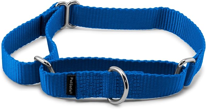 PetSafe Martingale Dog Collar Medium, 3/4 Inch, Royal Blue