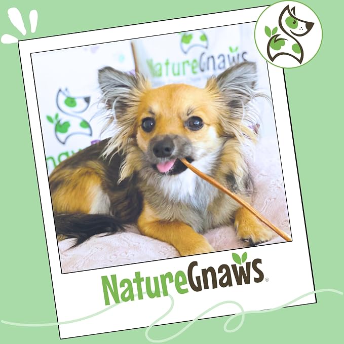 Nature Gnaws Super Skinny Bully Sticks for Small Dogs 5-6" (15 Count) - Long Lasting for Light Chewers and Puppies - Extra Thin Natural Beef Dog Chew Treats