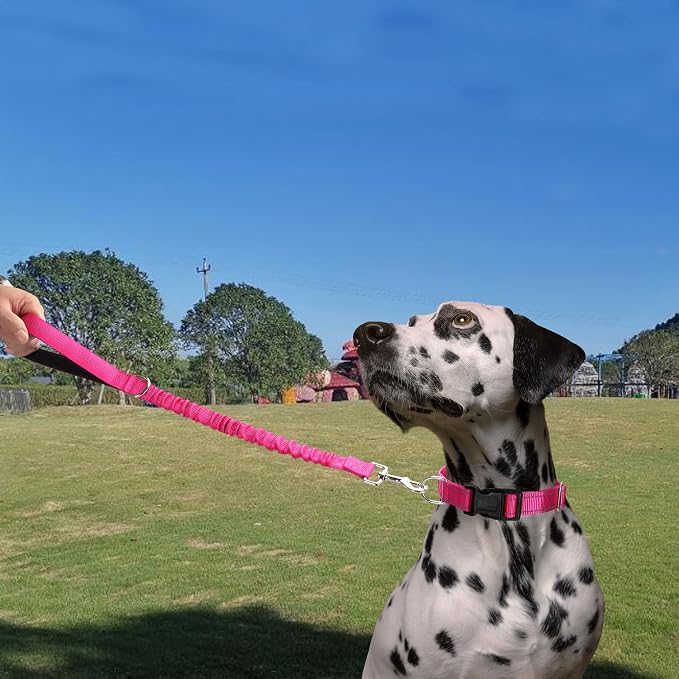 2ft Bungee Dog Leash, Reflective Strong Nylon Short Traffic Leash, Shock Absorbing for Large Medium Dogs Controlling, Walking (Rose Red, 1" Width)