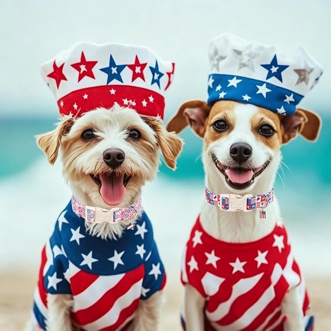 4th of July Dog Collar Blue Patriotic Dog Collars for Giant Large Dogs - Lightweight Adjustable 1776 Boy Girl Puppy Collars Cute Independence Day Male Female Dogs Collar XL