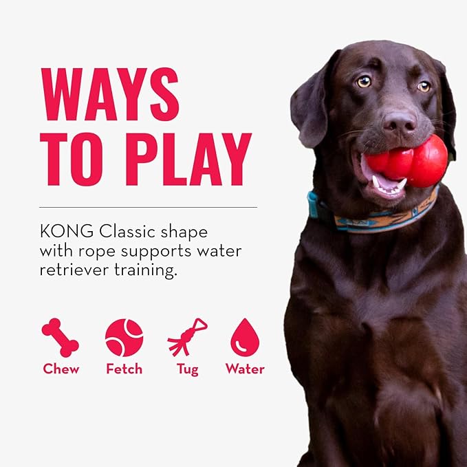 KONG Aqua Floating Fetch Toy - Dog Floating Toy for Water Retrieval, Play, Exercise & More - Natural Rubber Dog Toy with Foam Interior & Rope for Farther Throwing - Orange, for Medium Dogs